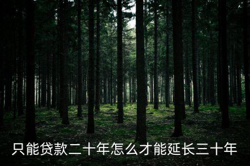 只能貸款二十年怎么才能延長三十年