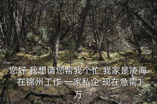您好 我想請(qǐng)您幫我個(gè)忙 我家是凌海 在錦州工作 一家私企 現(xiàn)在急需1萬(wàn)