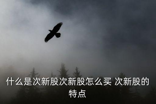 什么是次新股次新股怎么買 次新股的特點
