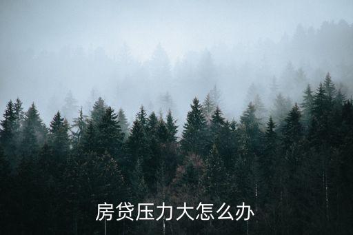 房貸壓力大怎么辦