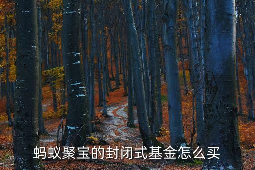 螞蟻聚寶的封閉式基金怎么買(mǎi)
