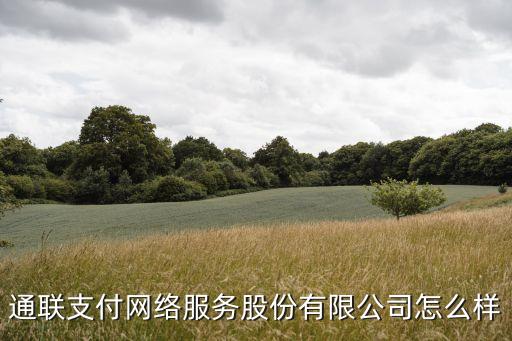 通聯(lián)支付網(wǎng)絡(luò)服務(wù)股份有限公司怎么樣