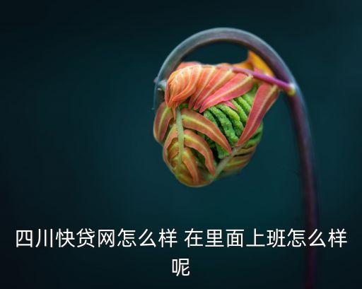 四川快貸網(wǎng)怎么樣 在里面上班怎么樣呢