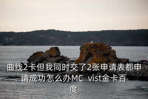 曲線2卡但我同時交了2張申請表都申請成功怎么辦MC  vist金卡百度