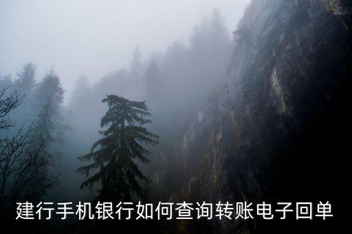 建設(shè)銀行手機(jī)銀行的回單怎么查，建設(shè)銀行網(wǎng)銀支付扣款怎么查詢回單