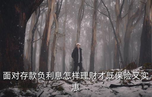 面對存款負(fù)利息怎樣理財才既保險又實惠