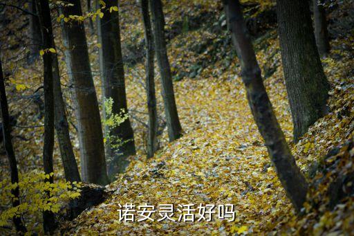 諾安靈活好嗎
