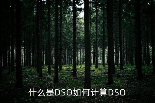 凈現(xiàn)金流動比率怎么算，現(xiàn)金流量比率的計算公式