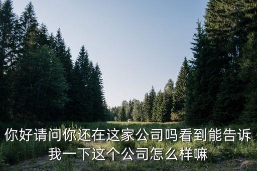 你好請問你還在這家公司嗎看到能告訴我一下這個公司怎么樣嘛