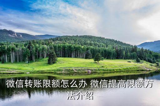 網(wǎng)上轉(zhuǎn)賬金額有限怎么辦，我想轉(zhuǎn)賬但是顯示余額支付額度已達(dá)上限怎么辦