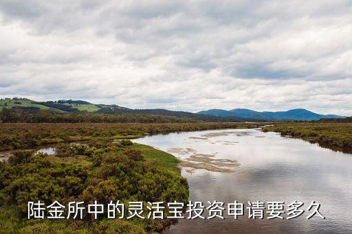 靈活寶20怎么樣，陸金所中的靈活寶投資申請(qǐng)要多久