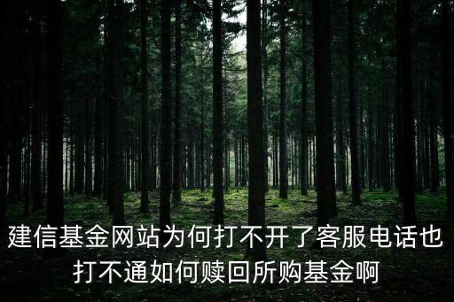 建信基金網(wǎng)站為何打不開了客服電話也打不通如何贖回所購基金啊