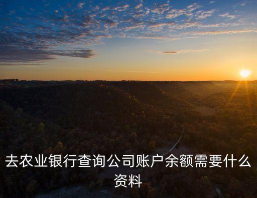 去農(nóng)業(yè)銀行查詢公司賬戶余額需要什么資料