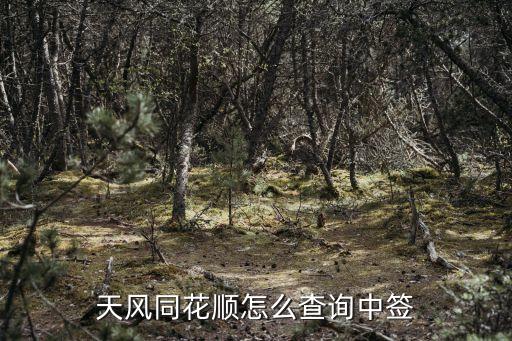 天風(fēng)同花順怎么查詢中簽