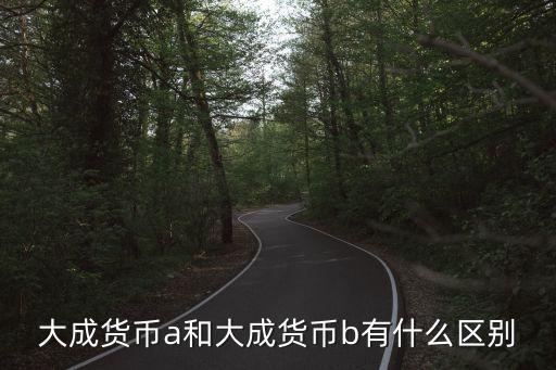 大成貨幣a和大成貨幣b有什么區(qū)別
