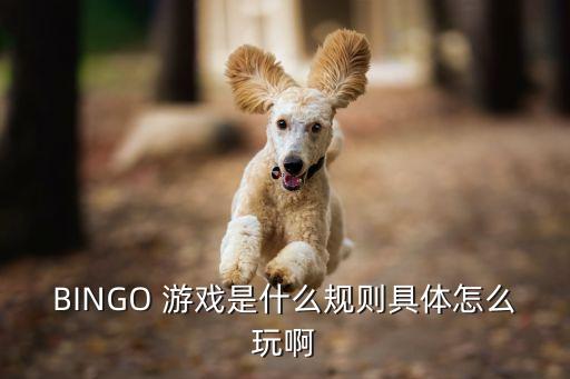中信易卡怎么玩，BINGO 游戲是什么規(guī)則具體怎么玩啊