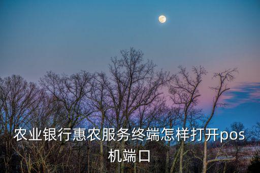 農(nóng)業(yè)銀行惠農(nóng)服務(wù)終端怎樣打開(kāi)pos機(jī)端口