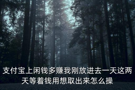 支付寶上閑錢(qián)多賺我剛放進(jìn)去一天這兩天等著錢(qián)用想取出來(lái)怎么操