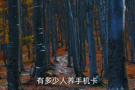 有多少人養(yǎng)手機(jī)卡