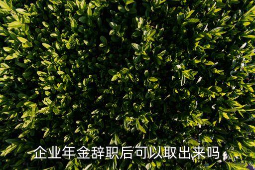企業(yè)年金離職了怎么辦，企業(yè)年金辭職后可以取出來嗎