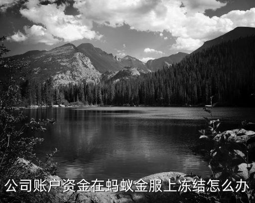 公司賬戶資金在螞蟻金服上凍結(jié)怎么辦