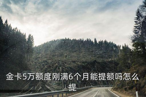 金卡5萬額度剛滿6個(gè)月能提額嗎怎么提