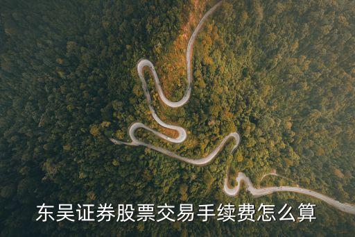 怎么改 東吳證券 費(fèi)率，網(wǎng)上開的東吳證券賬號(hào)手續(xù)費(fèi)怎么變貴了