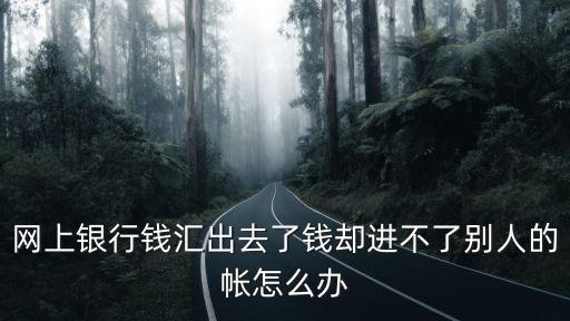 網(wǎng)上銀行錢匯出去了錢卻進不了別人的帳怎么辦