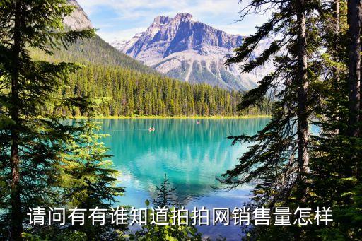 拍拍網(wǎng)交易量怎么樣，請問有有誰知道拍拍網(wǎng)銷售量怎樣
