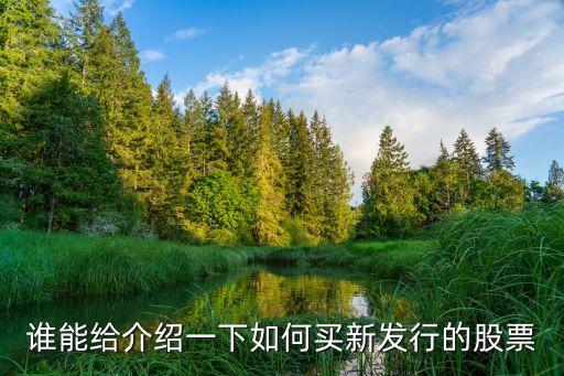 新股票上市怎么買，新發(fā)行的股票在哪里買怎樣買