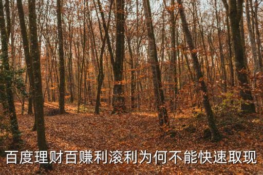 百度理財(cái)百賺利滾利為何不能快速取現(xiàn)