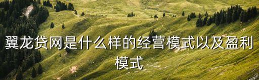 翼龍貸運營中心怎么掙錢，翼龍貸網(wǎng)是什么樣的經(jīng)營模式以及盈利模式