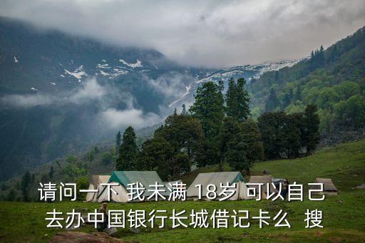 請問一下 我未滿 18歲 可以自己 去辦中國銀行長城借記卡么  搜