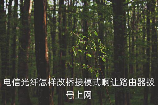 電信光纖怎樣改橋接模式啊讓路由器撥號(hào)上網(wǎng)
