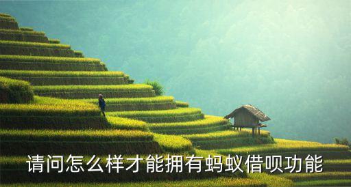 請問怎么樣才能擁有螞蟻借唄功能