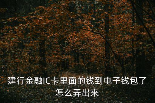 建行金融IC卡里面的錢到電子錢包了怎么弄出來(lái)