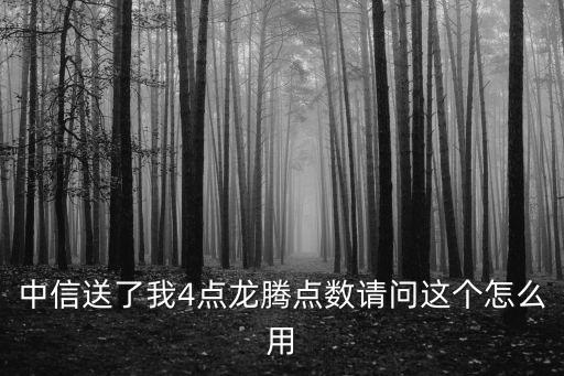 龍騰出行的點數(shù)怎么用，龍騰卡升級龍騰出行我卡里沒用完的點數(shù)還可以用嗎
