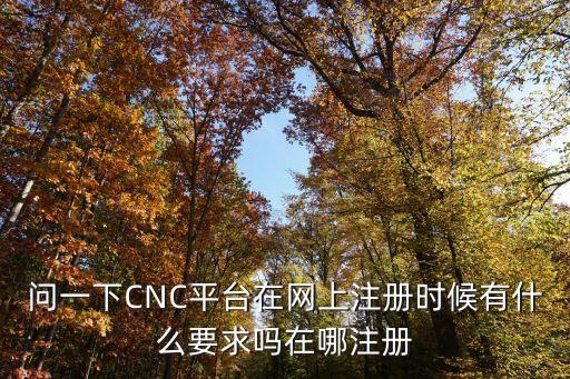 問一下CNC平臺在網(wǎng)上注冊時候有什么要求嗎在哪注冊