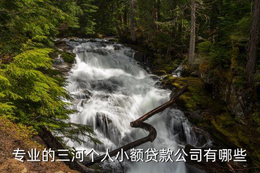 專業(yè)的三河個(gè)人小額貸款公司有哪些