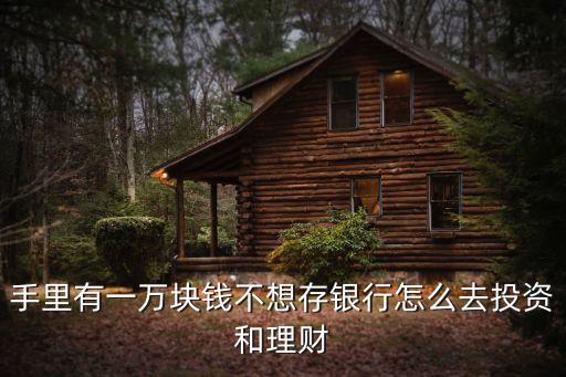 手里有一萬塊錢不想存銀行怎么去投資和理財