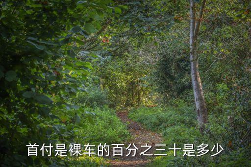 車(chē)首付30怎么算的，一輛車(chē)首付百分之30怎么算出是多少來(lái)