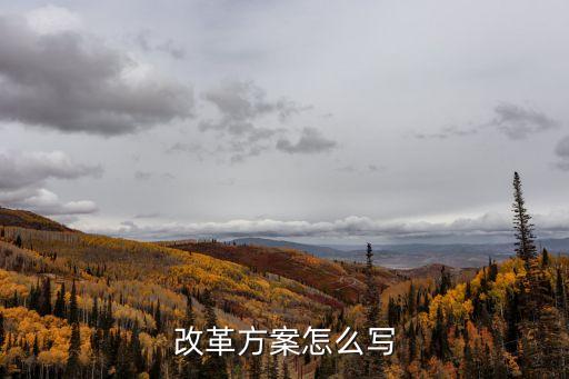 改革方案怎么寫