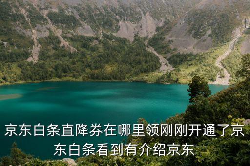 京東白條券怎么領(lǐng)，京東白條12期24期的免息卷哪里能領(lǐng)到