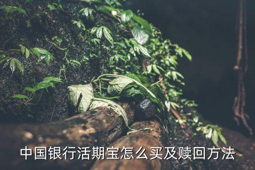 中國銀行活期寶怎么買及贖回方法