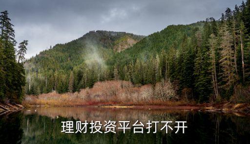富國創(chuàng)投怎么打不開，富國基金網(wǎng)今天打開是頁面過期怎么回事啊