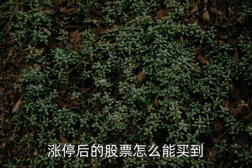 股票漲停后怎么買入，如何購買漲停中的股票