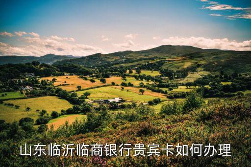 臨商銀行怎么辦卡，臨商銀行能辦理信用卡嗎