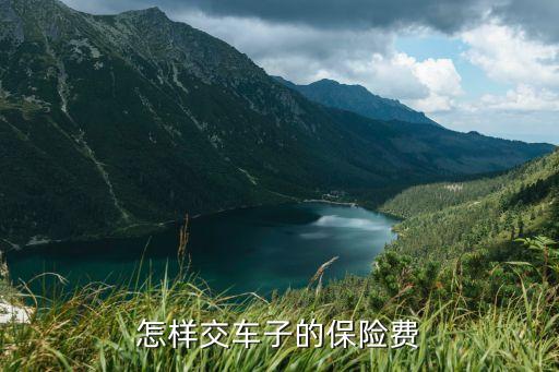 車輛保險怎么交，車險怎么繳費(fèi)