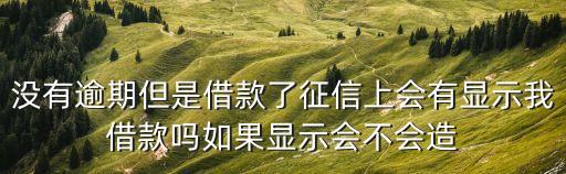 沒有逾期但是借款了征信上會(huì)有顯示我借款嗎如果顯示會(huì)不會(huì)造