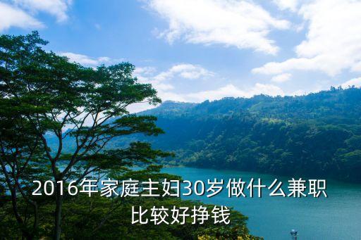 2016家庭主婦怎么賺錢，2016年全職媽媽在家如何掙錢